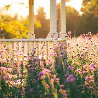 bloemen-hek-tuin